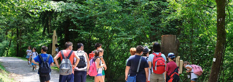 A section of the Bosco Arte Stenico trail on a summer day. A group of boys and girls, of middle school age, are visiting the forest. The group has split up to observe two installations, one in the foreground, one in the background. With them is an adult figure, perhaps the teacher. Behind two of the children is a wheelchair, demonstrating that the path is also suitable for people with mobility impairments. 
