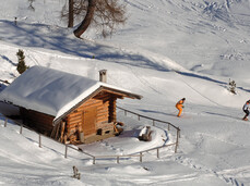 Pampeago-Predazzo-Obereggen, find the perfect ski holiday in Italian Alps