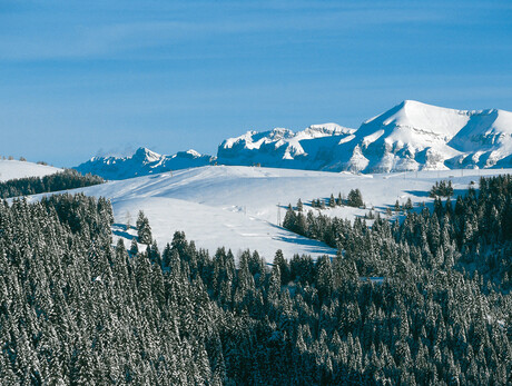 Skigebiet Lagorai/Passo Brocon