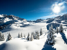 Where to go skiing in Trentino - Madonna di Campiglio Pinzolo