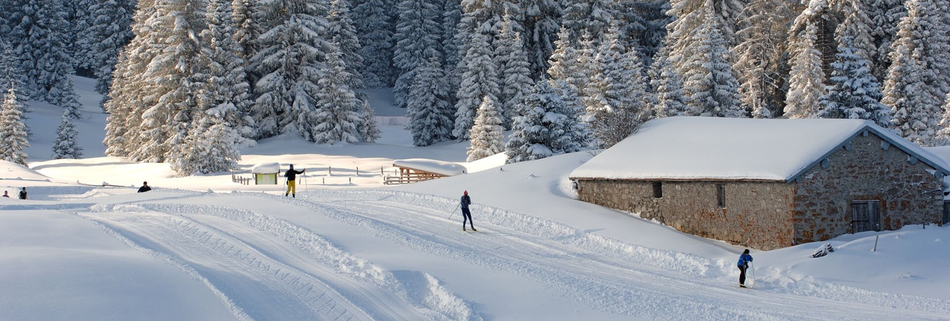 Alpe di Folgaria – Passo Coe Cross-Country Ski Centre