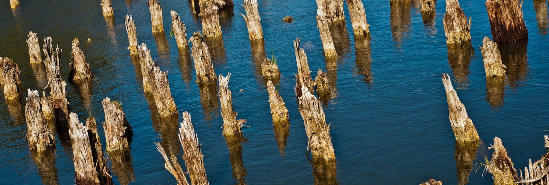 Museo delle Palafitte - Fiavé