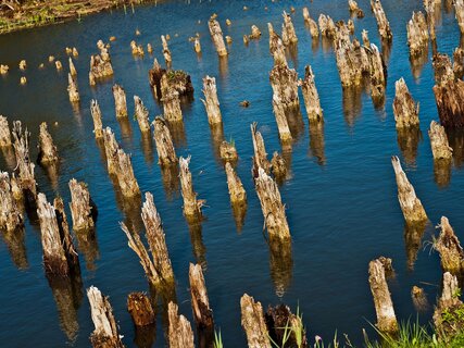 Museo delle Palafitte - Fiavé