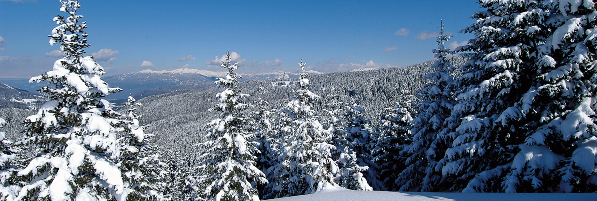 Alpe Cimbra - panorama invernale