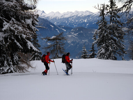 Snowshoeing in Val di Non