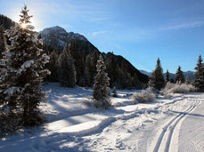 Cross-country skiing Italy, Val di Fassa, Trentino