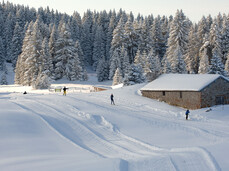 Alpe di Folgaria – Passo Coe Cross-Country Ski Centre