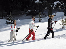 Cross Country Centre Passo di Lavazé, Winter holidays in Dolomites