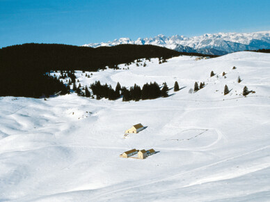 Die besten Gourmet Skihütten in Trentino: Zum Schlemmen und Skifahren! 