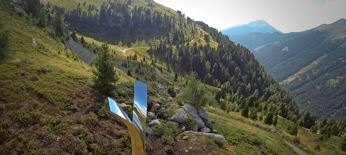 Sztuka w naturze i festiwali