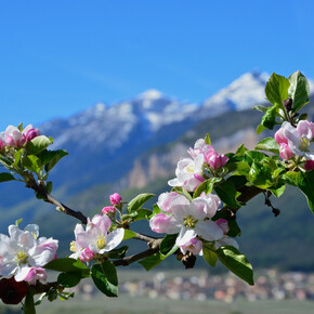 Frühlingsfeste Im Trentino