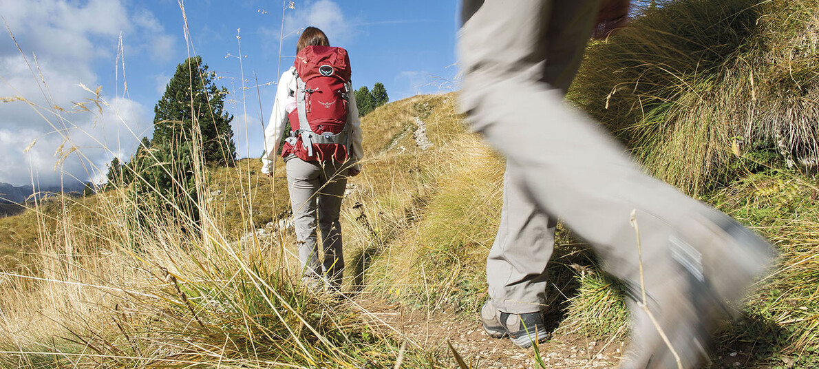 Вперёд в Доломиты!