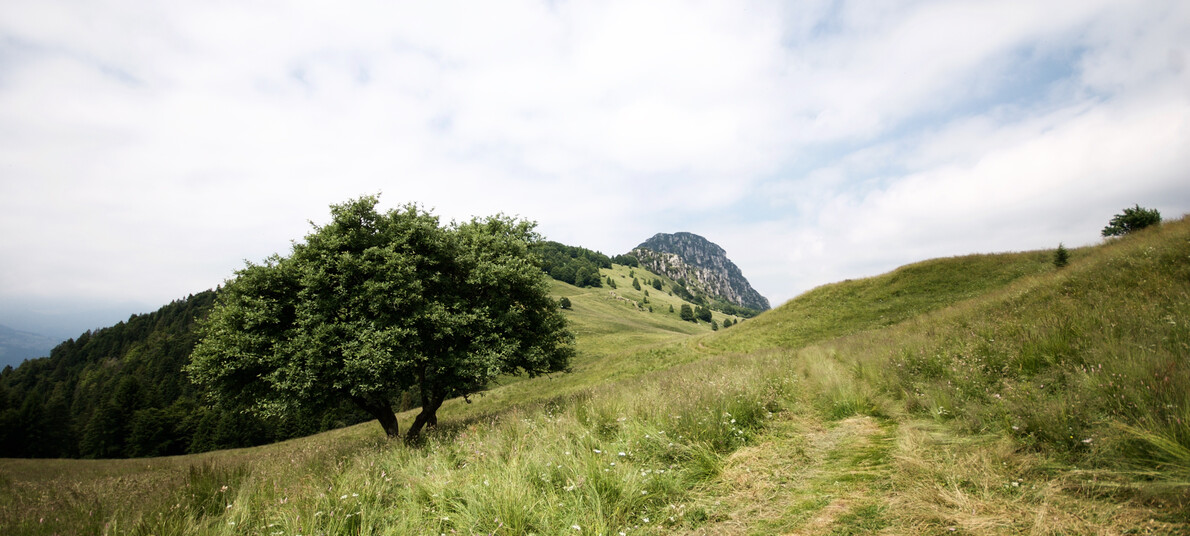 RR Alpi Ledrensi - Anna Sustersic - Panorama Alpo Storo | © RR Alpi Ledrensi -Anna Sustersic - Panorama Alpo Storo