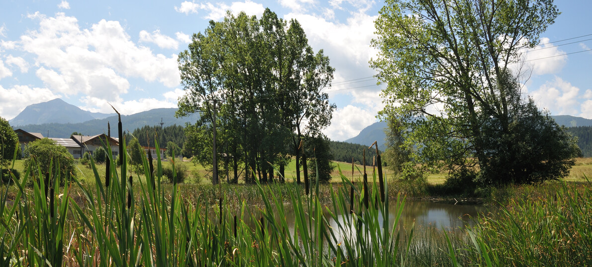 RR Val di Fiemme Destra Avisio - Riserva Locale Bronzin Maso Faoro | © RR Val di Fiemme Destra Avisio - Riserva Locale Bronzin Maso Faoro