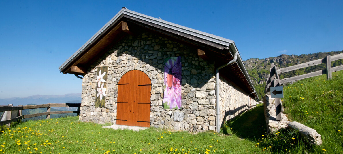 RR Alpi Ledrensi - AS Centro Visite Tremalzo | © RR Alpi Ledrensi - AS Centro Visite Tremalzo