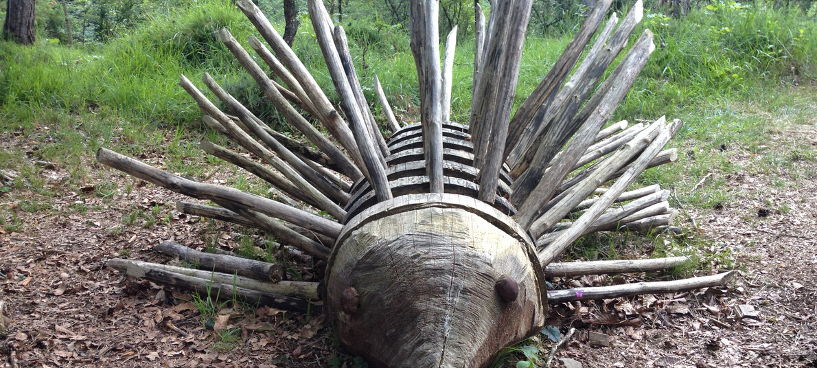 Matilde Peterlini - Sculture LedroLandArt | © Matilde Peterlini - Sculture LedroLandArt