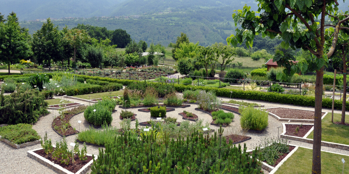 Foto Archivio Parco Naturale Locale Monte Baldo | © Foto Archivio Parco Naturale Locale Monte Baldo