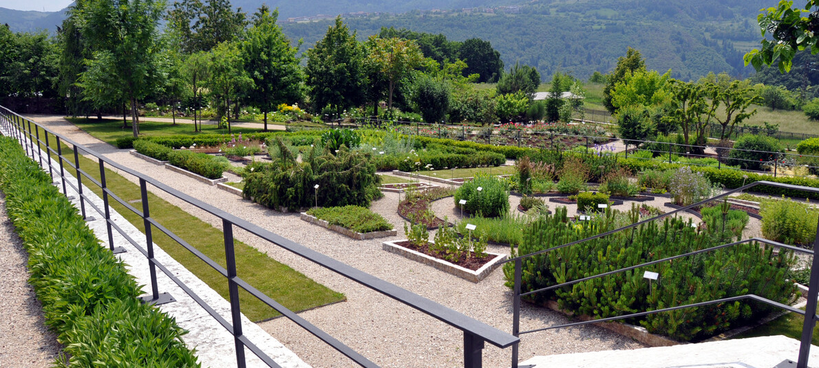Foto Archivio Parco Naturale Locale Monte Baldo | © Foto Archivio Parco Naturale Locale Monte Baldo