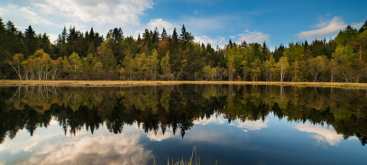 Lac dal Vedes - Val di Cembra | © Foto Archivio Rete di Riserve Cembra – Avisio