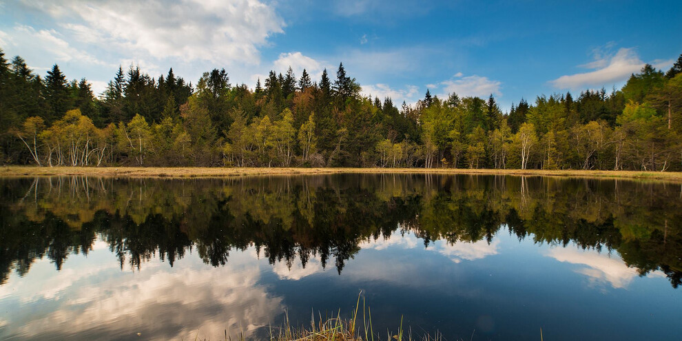 Трекинг по древним озерам | © Foto Archivio Rete di Riserve Cembra – Avisio
