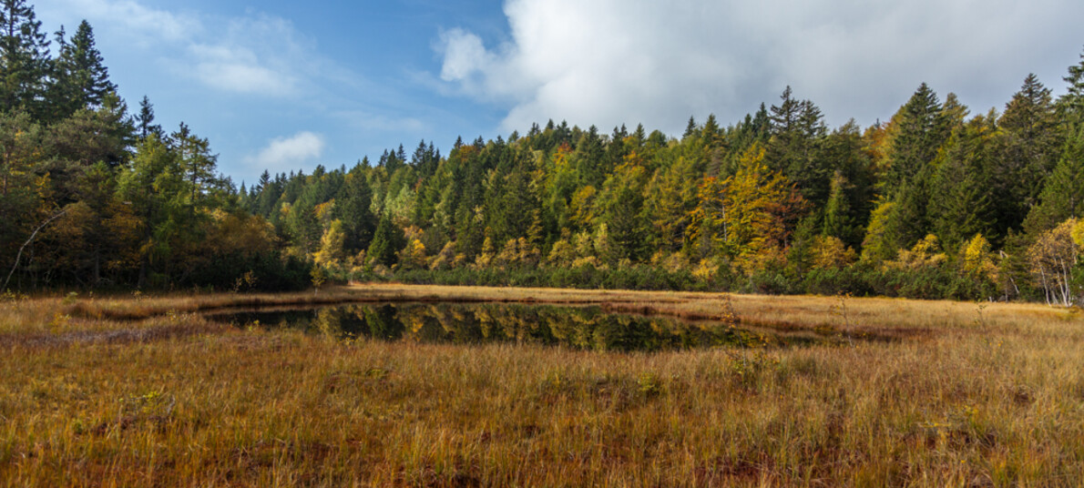 Lac dal Vedes - Val di Cembra | © Foto Archivio Rete di Riserve Cembra – Avisio