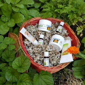 Il profumo delle Alpi Ledrensi