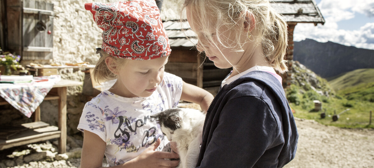 Vaccinations for pets