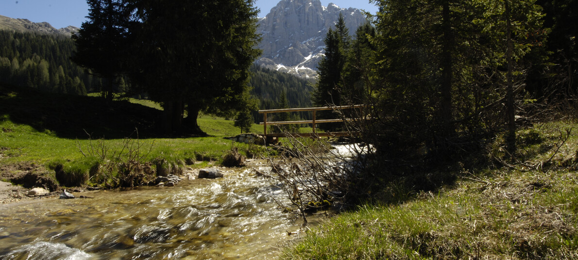 Trekking in Trentino: i percorsi lungo i ruscelli
