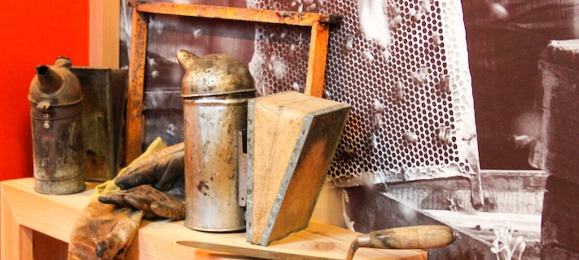 MMape e Bosco Derniga