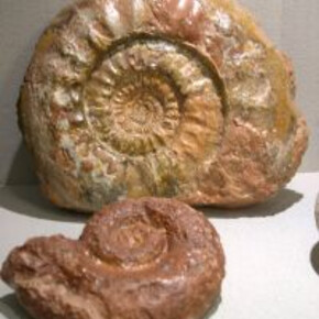 Il Parco del Monte Baldo