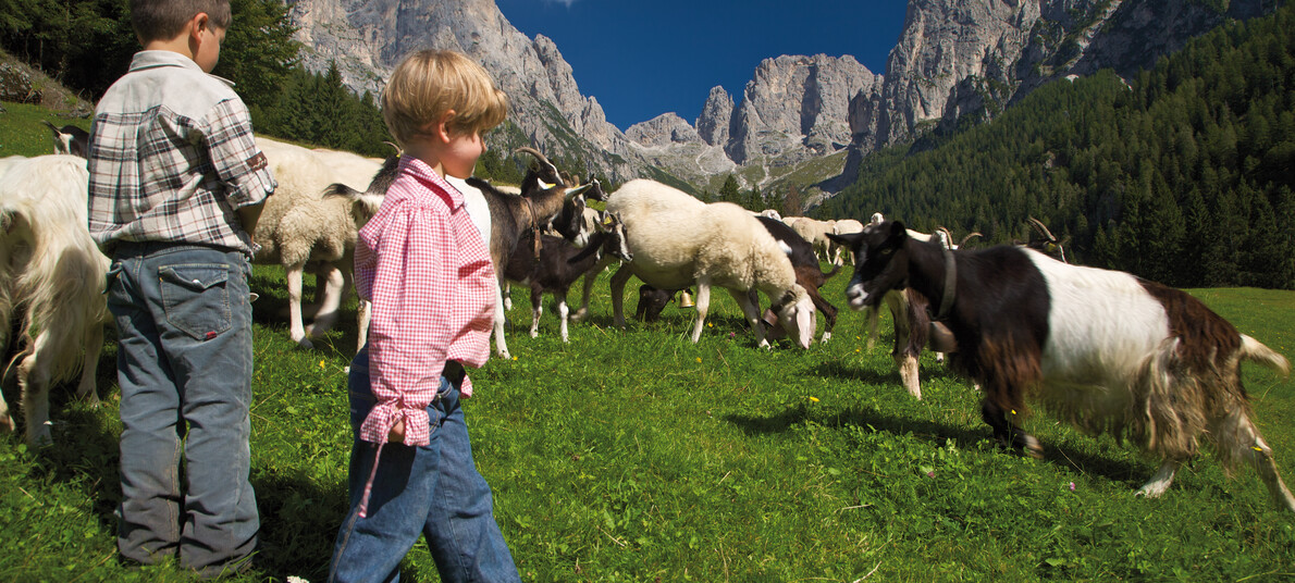 Parchi naturali del Trentino da visitare con i bambini