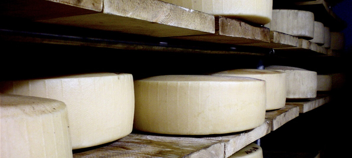 Monte Bondone produzione di formaggi ecosostenibili