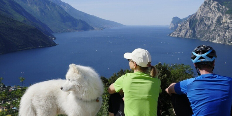 Dogs areas and pet friendly beaches on Lake Garda