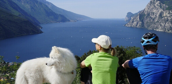 Badeurlaub mit dem Hund am Gardasee
