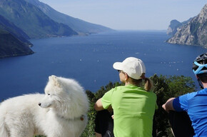 Dogs areas and pet friendly beaches on Lake Garda