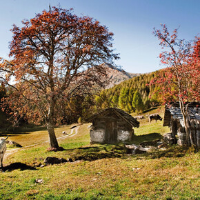 26372-Autunno presso Rifugio Serot - Valsugana - Daniele Lira | © 26372-Autunno presso Rifugio Serot - Valsugana - Daniele Lira