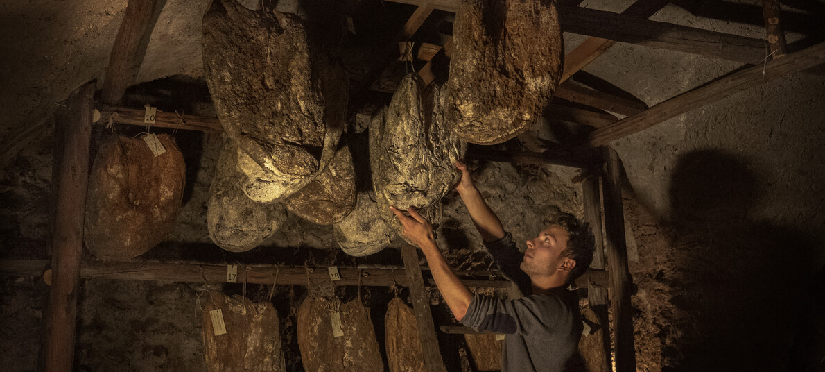 I prodotti del Marchio di Qualità Trentino