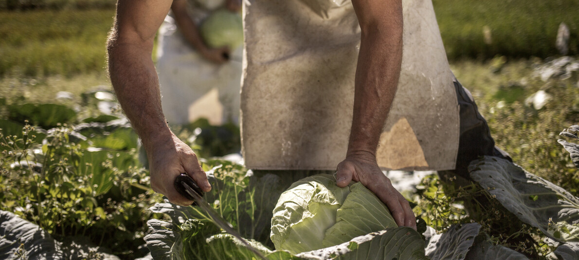 I prodotti del Marchio di Qualità Trentino