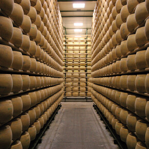 Consorzio Formaggi del Trentino