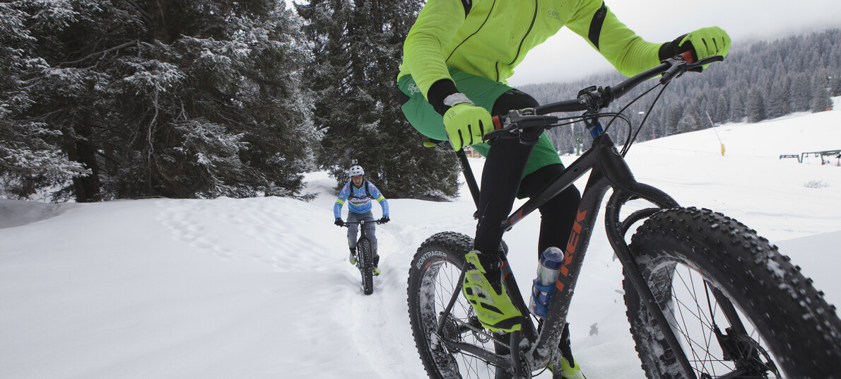Fat Bike: prova la bici dalle ruote grasse sulla neve del Trentino
