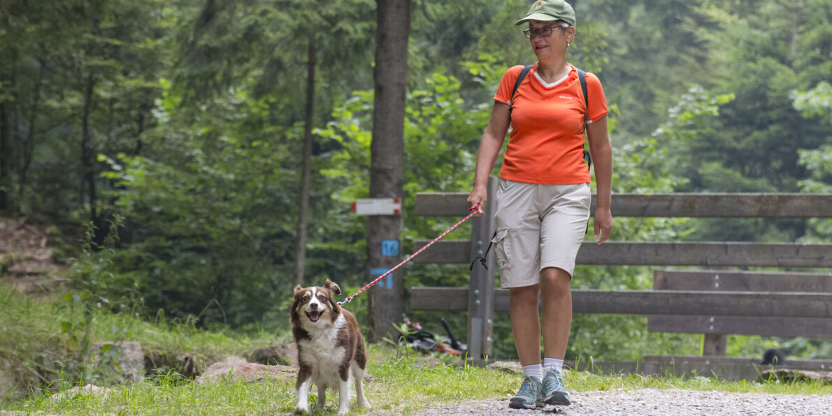 Passeggiata con il cane a Fai della Paganella