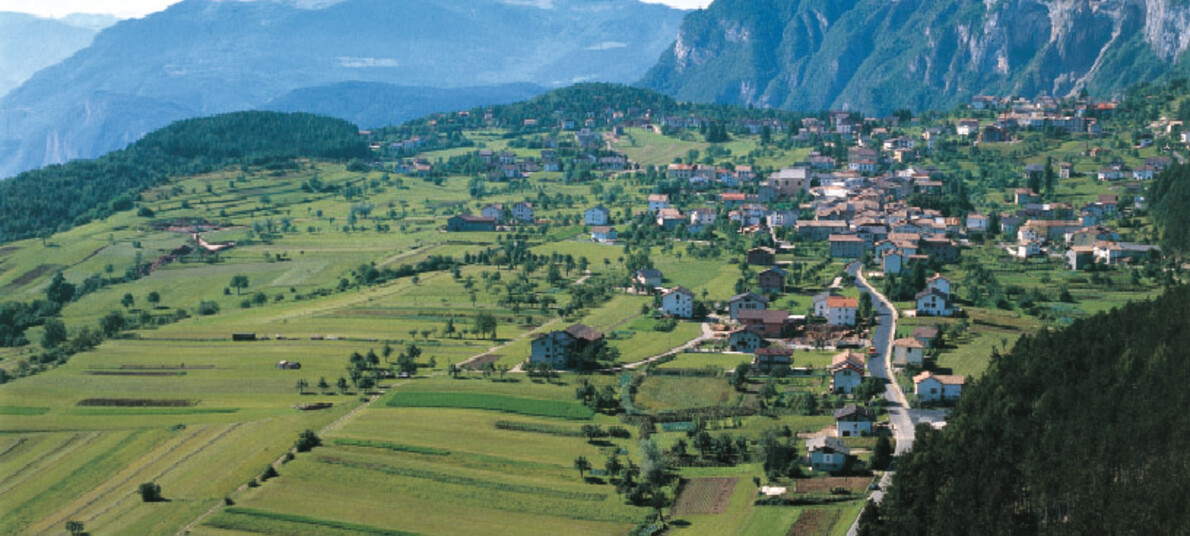 Passeggiata con il cane a Fai della Paganella