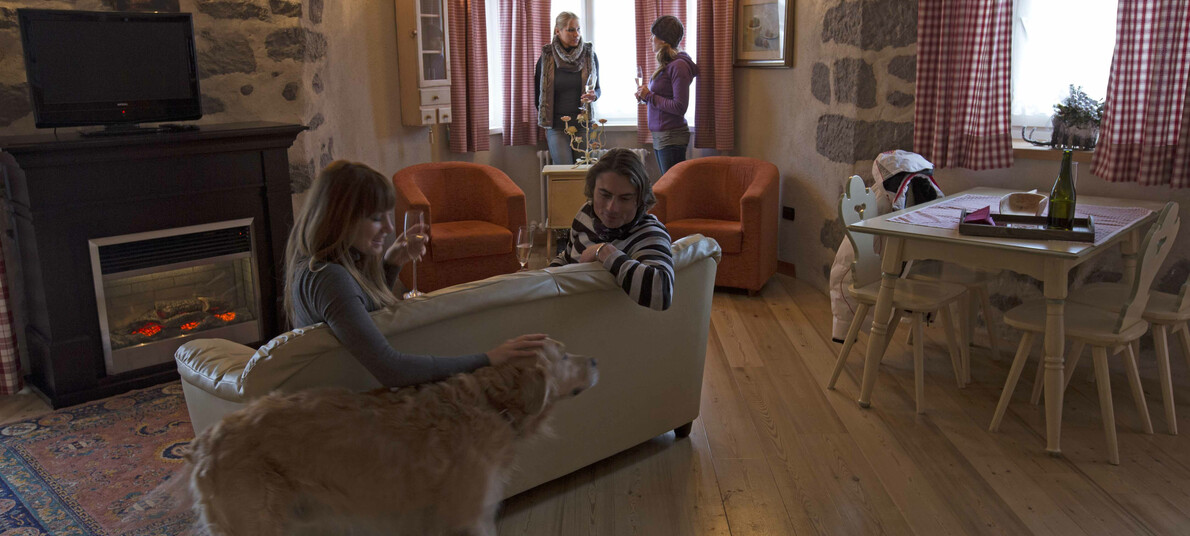 Quattrozampe in hotel, ma non solo