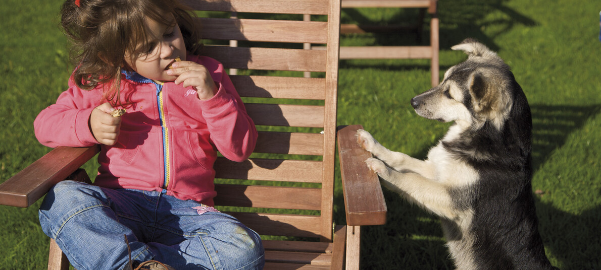 Quattrozampe in hotel, ma non solo
