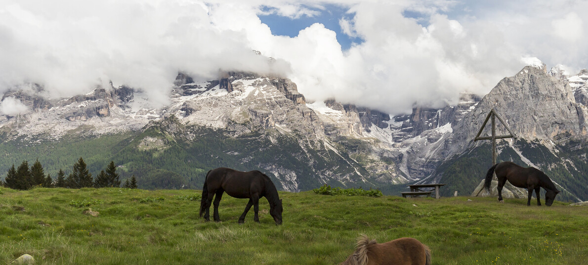 Farben und Lichter im Herbst 