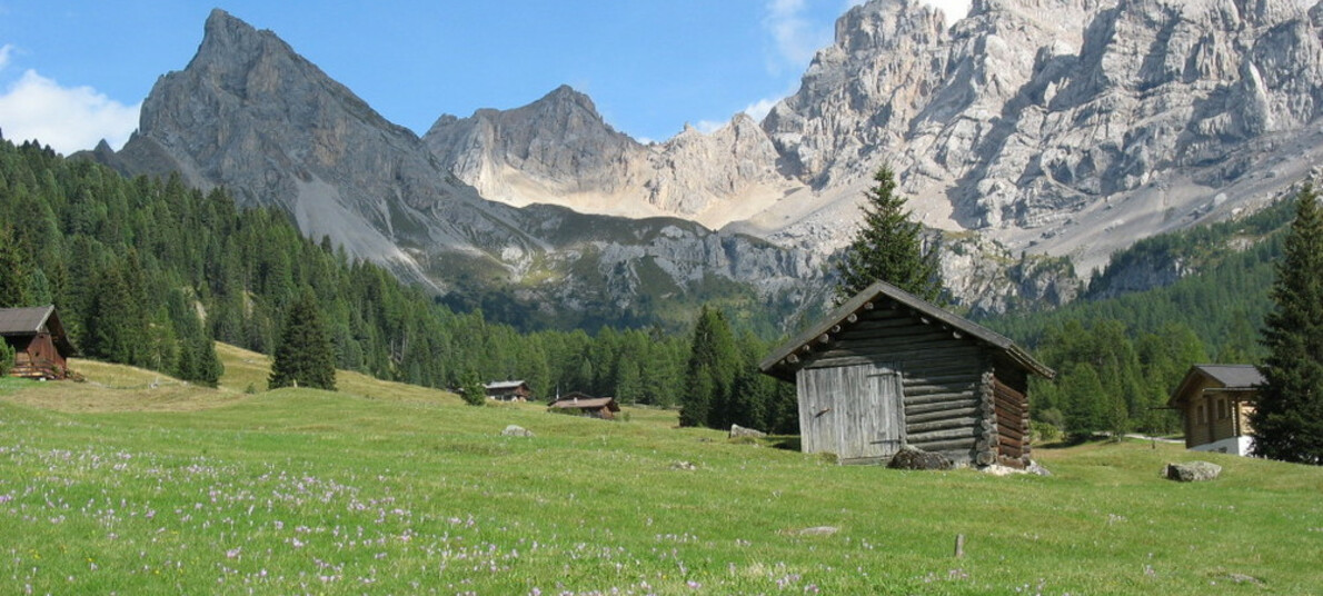 Con il cane sulla Strada dei Russi, in Val San Nicolò
