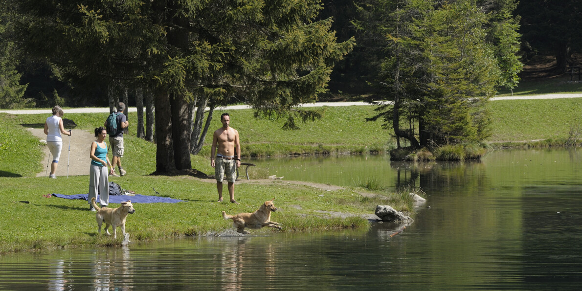 Escursione con cane al Lago dei caprioli