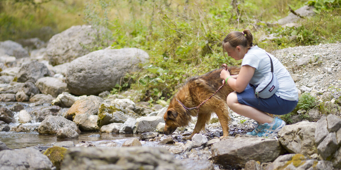 Per superproprietari con supercani: il Senter de le Greste