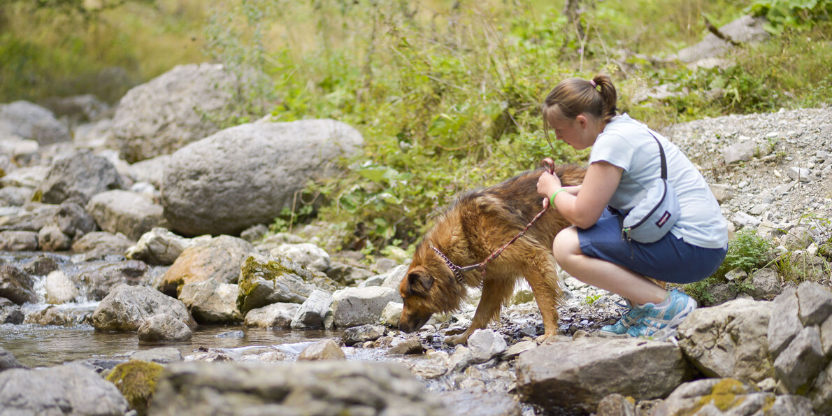 Gita con cane in Val Concei