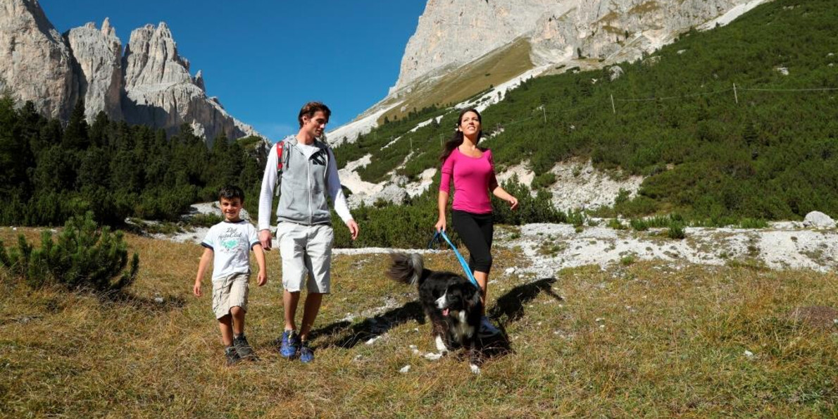 Con il quattrozampe da Passo S. Pellegrino al Rifugio Fuciade